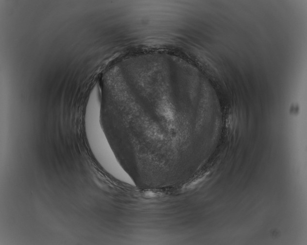 X0000092280868200710121402