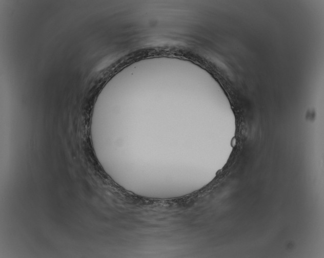 X0000092280869200710121402