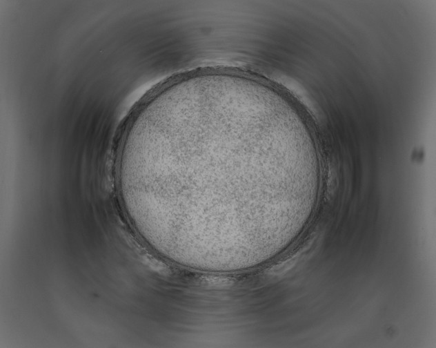 X0000092280878200710121401