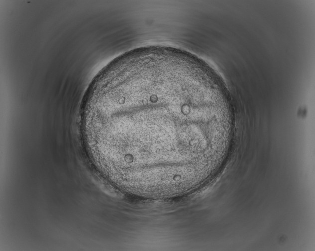 X0000092280879200710121401