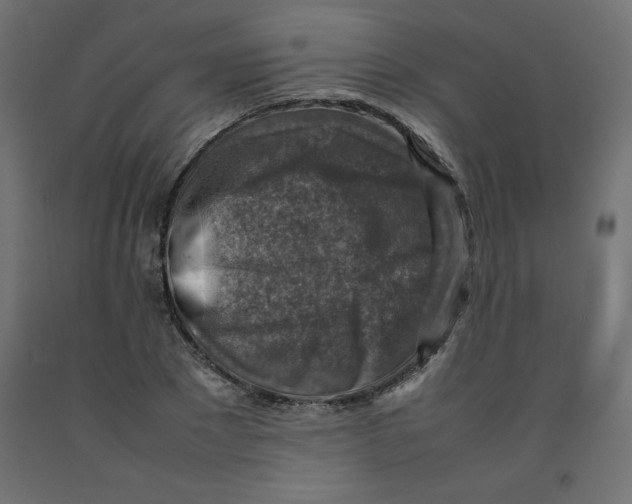 X0000092280881200710121401