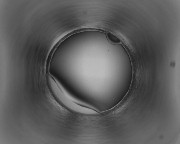 X0000092280884200710121401