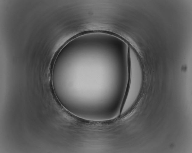 X0000092280885200710121401