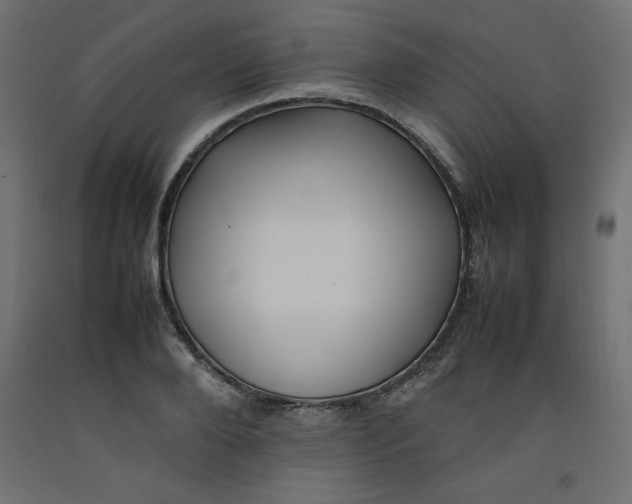 X0000092280888200710121401