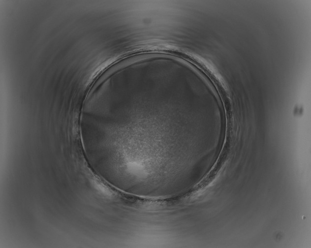 X0000092280889200710121401