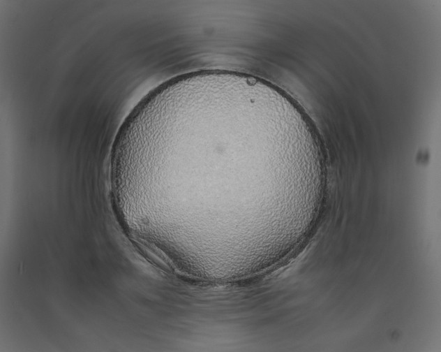 X0000092280891200710121401