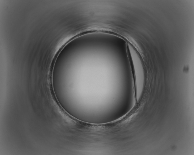 X0000092280893200710121401