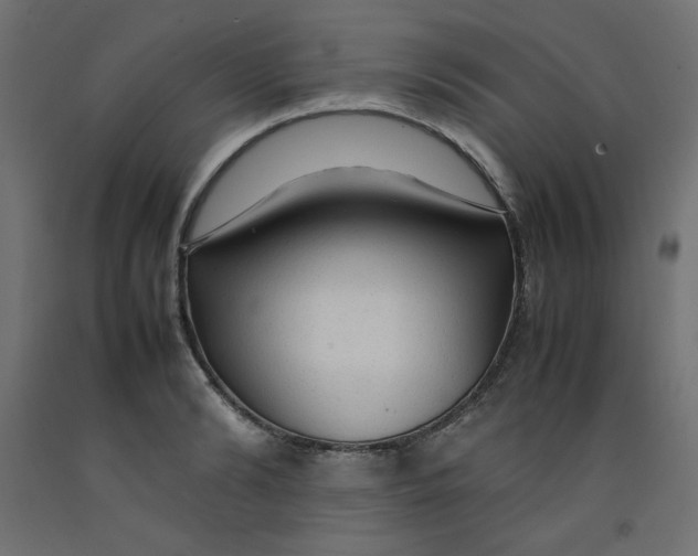 X0000092280894200710121401