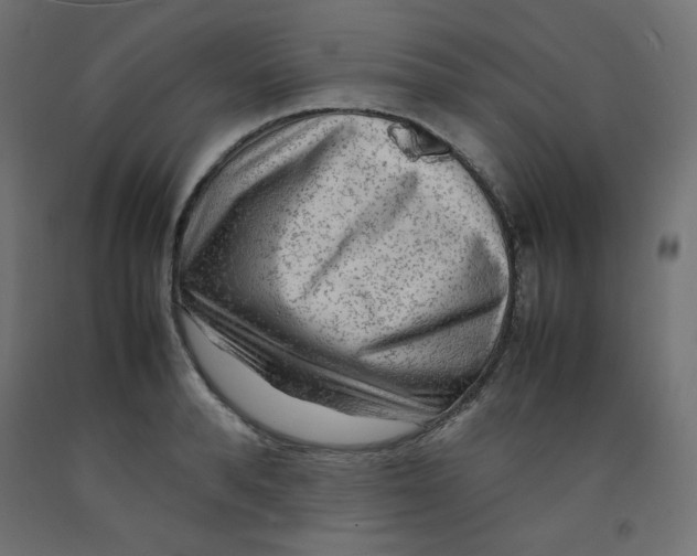 X0000092280896200710121401
