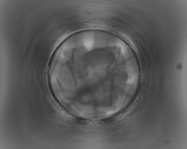 X0000092280899200710121401