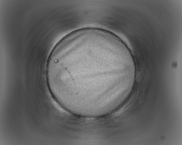 X0000092280903200710121401