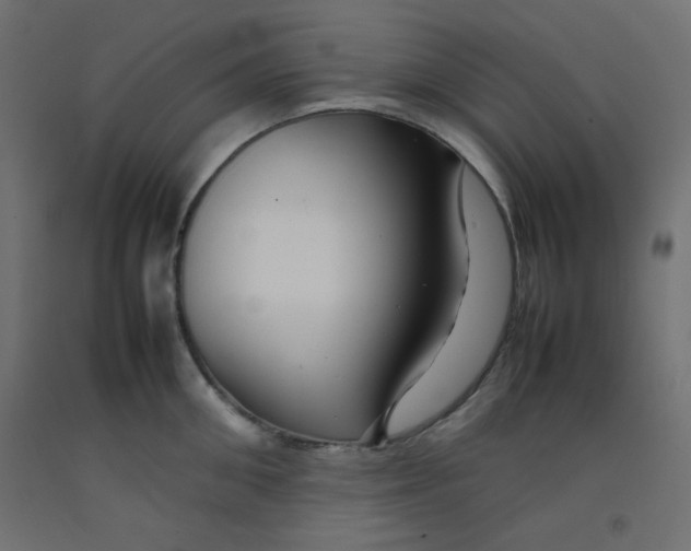 X0000092280906200710121401