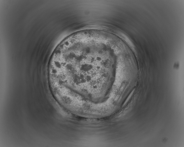 X0000092280907200710121401
