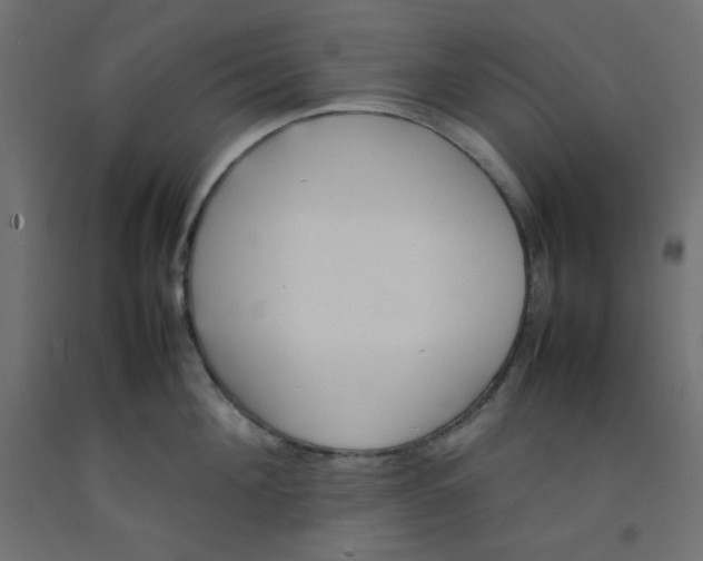X0000092280908200710121401