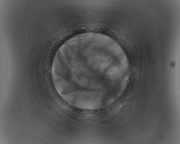 X0000092280913200710121400
