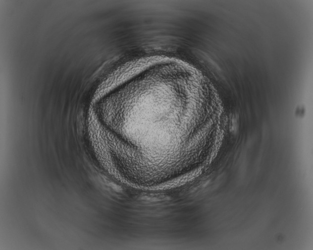 X0000092280915200710121400