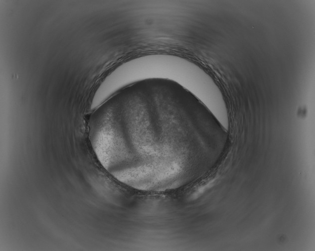 X0000092280916200710121400