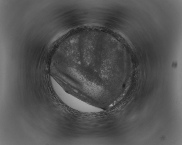 X0000092280919200710121401
