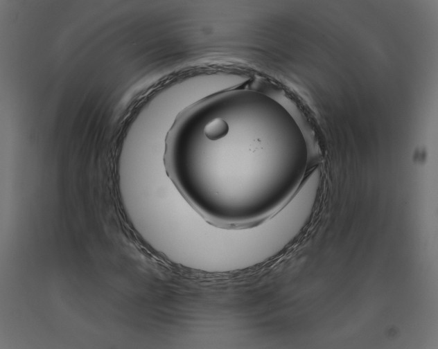 X0000092280920200710121401