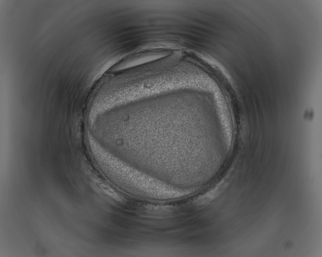 X0000092280921200710121401