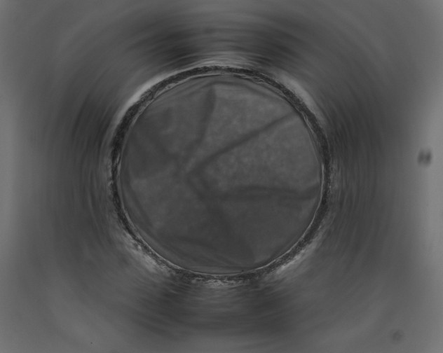 X0000092280923200710121401