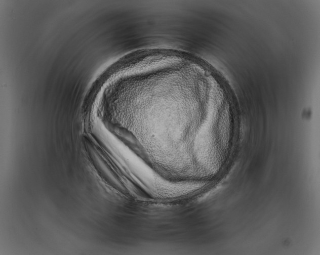 X0000092280925200710121401