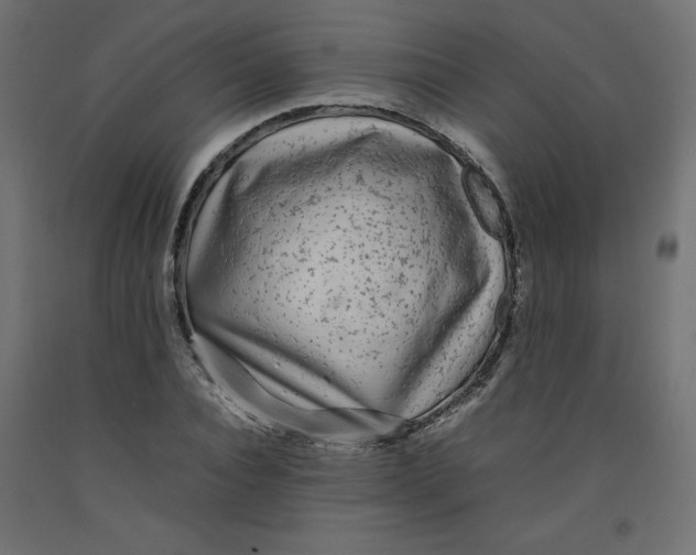 X0000092280928200710121401