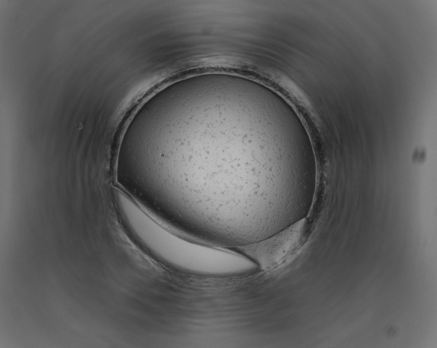 X0000092280930200710121401