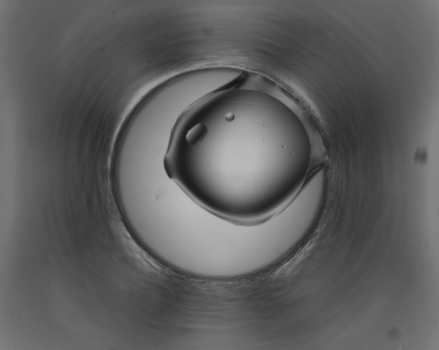X0000092280932200710121401