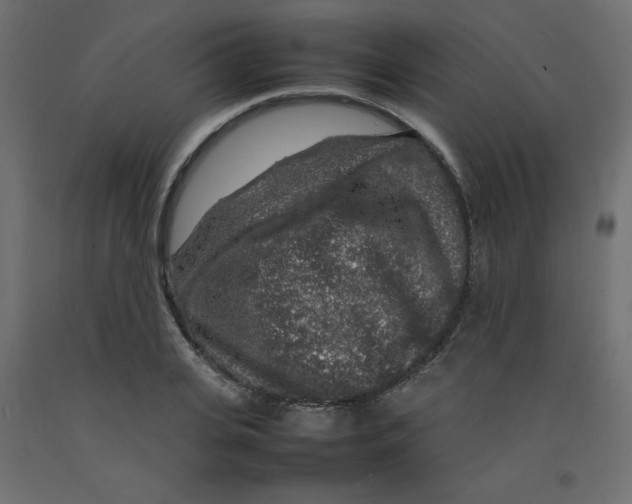 X0000092280935200710121401