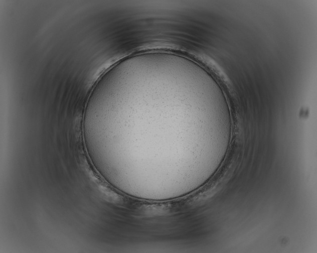 X0000092280937200710121401