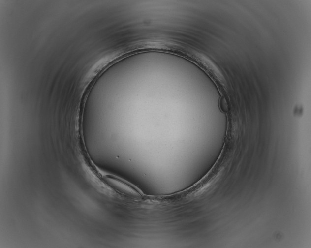 X0000092280938200710121401