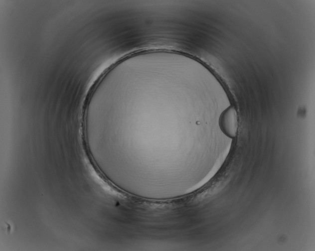 X0000092280941200710121401
