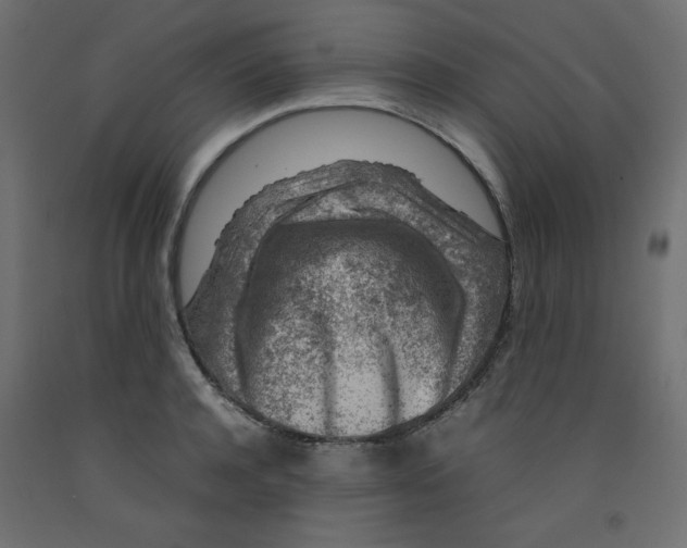 X0000092280944200710121401