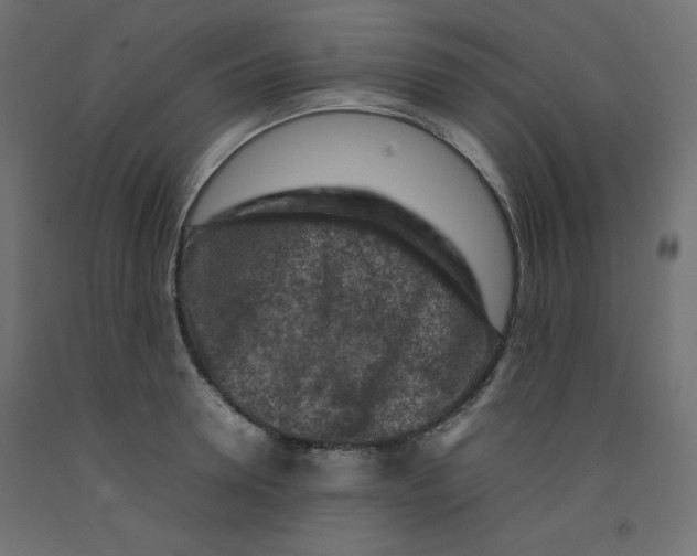 X0000092280946200710121401