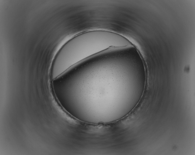 X0000092280949200710121401