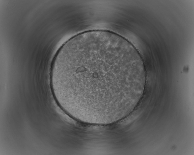 X0000092280950200710121401