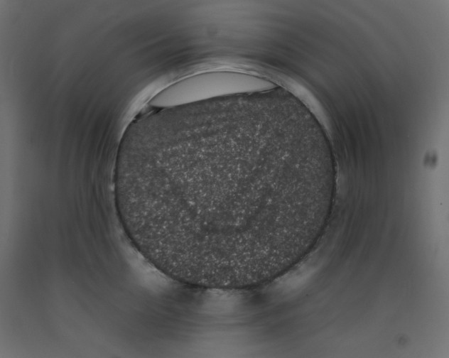 X0000092280954200710121401