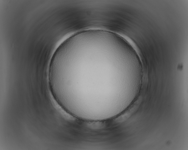 X0000092280957200710121401