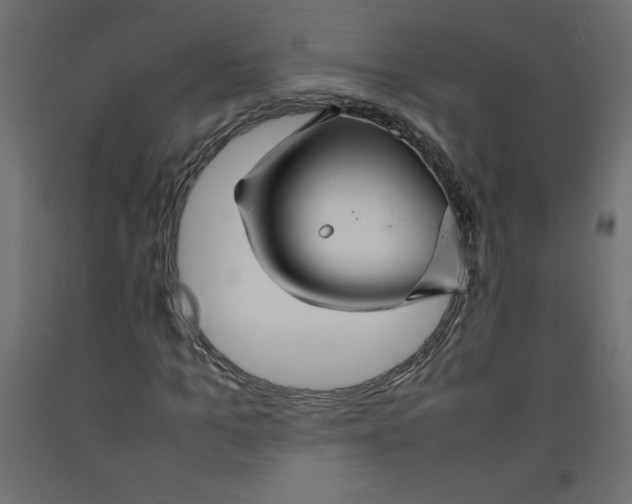 X0000092280965200710121400