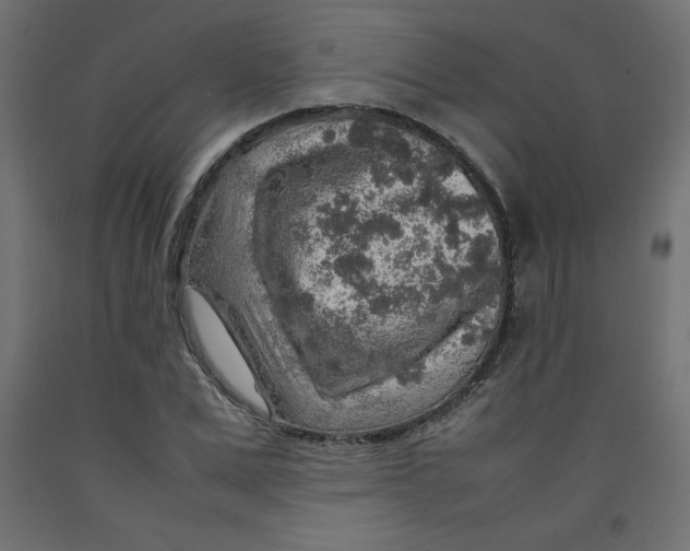 X0000092280975200710121400