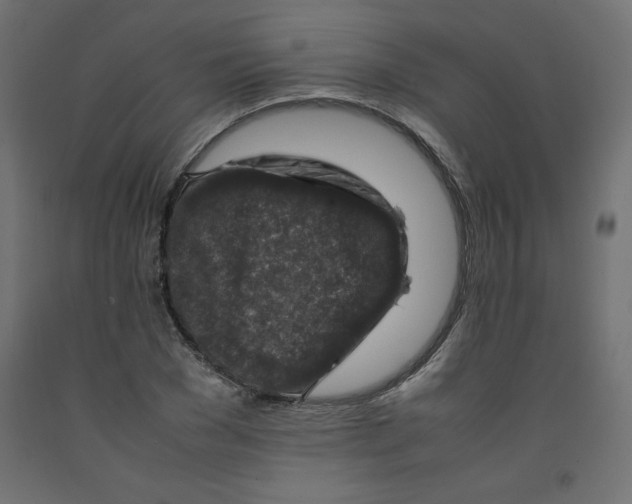 X0000092280977200710121400