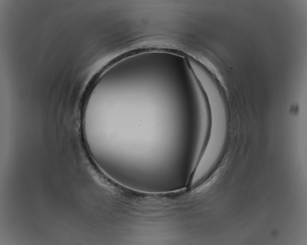 X0000092280981200710121400