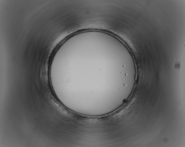 X0000092280982200710121400