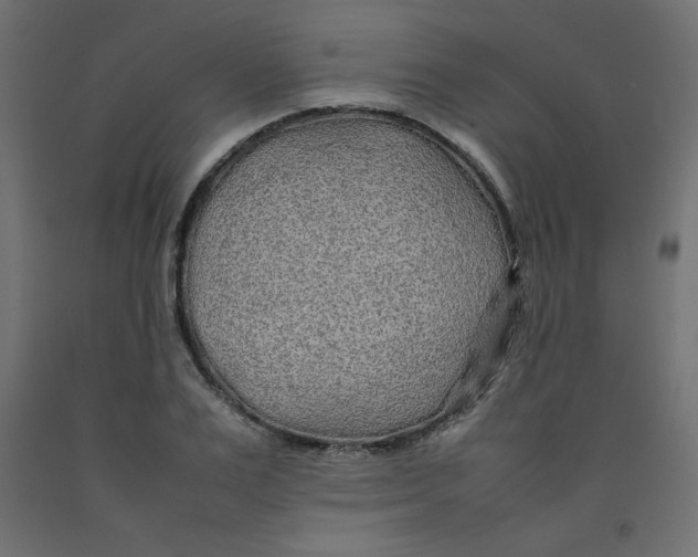 X0000092280983200710121400