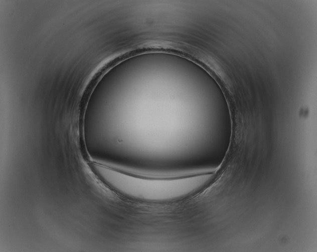 X0000092280984200710121400