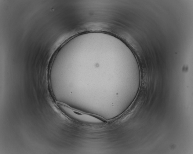 X0000092280986200710121400