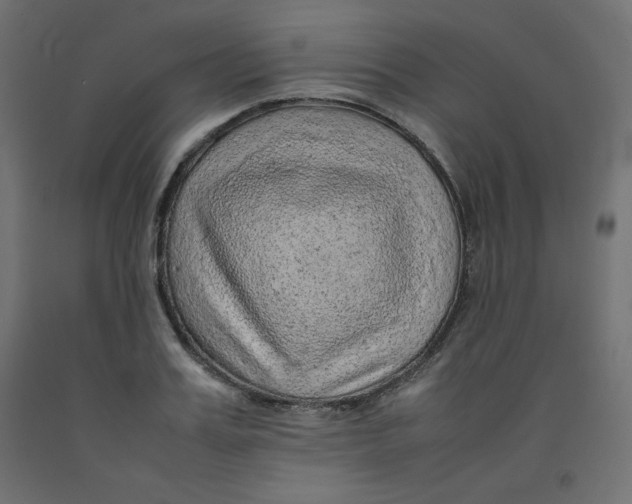 X0000092280987200710121400