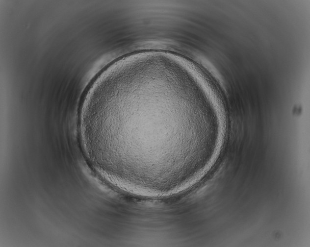 X0000092280994200710121400