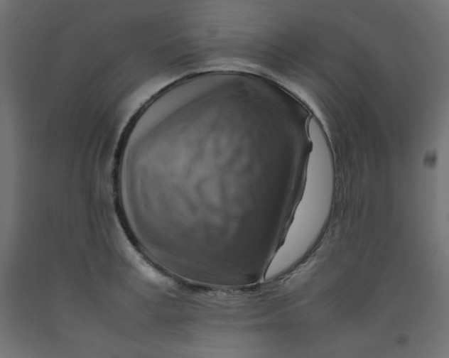 X0000092280995200710121400